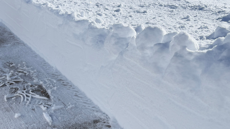 A cleared walkway with a shoeprint in the snow